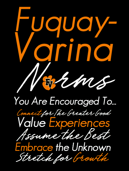 FVNorms